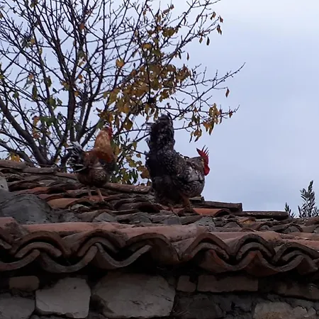 Omer The Ottoman House فندق مبيت وإفطار بيرات